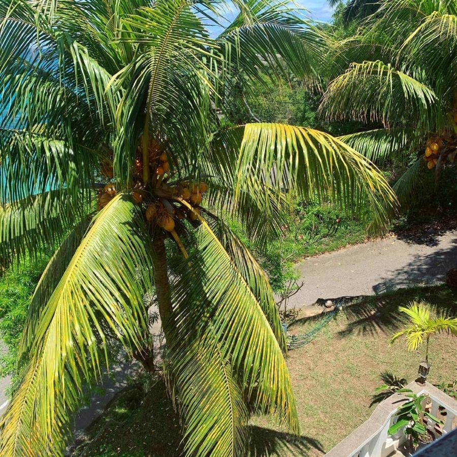 Epea Ocean View Apartment Tortoise Machabee Экстерьер фото